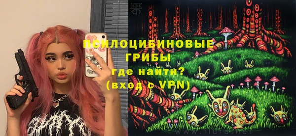 молекула духа Коряжма